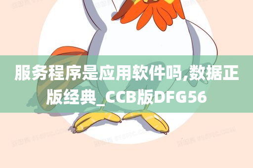 服务程序是应用软件吗,数据正版经典_CCB版DFG56