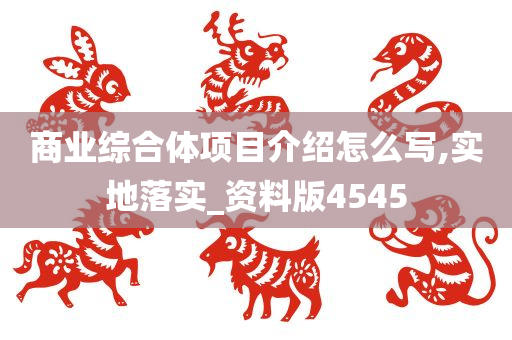 商业综合体项目介绍怎么写,实地落实_资料版4545