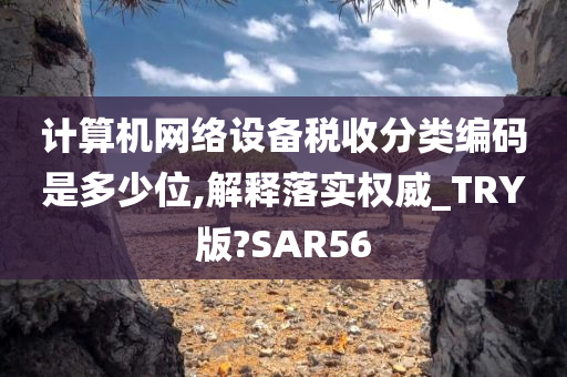 计算机网络设备税收分类编码是多少位,解释落实权威_TRY版?SAR56