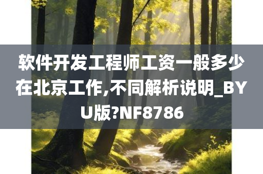 软件开发工程师工资一般多少在北京工作,不同解析说明_BYU版?NF8786