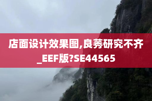 店面设计效果图,良莠研究不齐_EEF版?SE44565