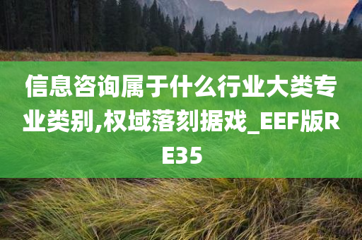 信息咨询属于什么行业大类专业类别,权域落刻据戏_EEF版RE35