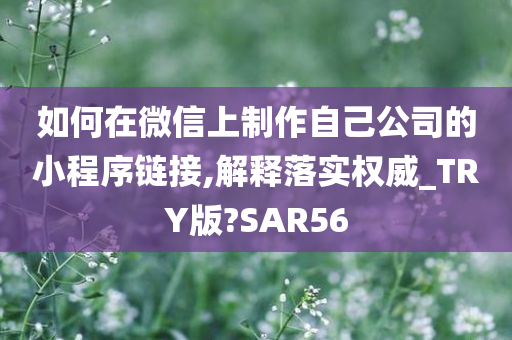 如何在微信上制作自己公司的小程序链接,解释落实权威_TRY版?SAR56