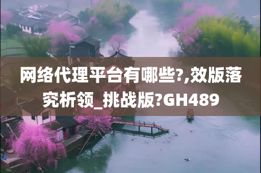 网络代理平台有哪些?,效版落究析领_挑战版?GH489