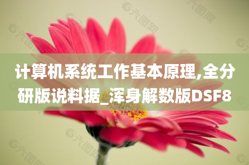 计算机系统工作基本原理,全分研版说料据_浑身解数版DSF8