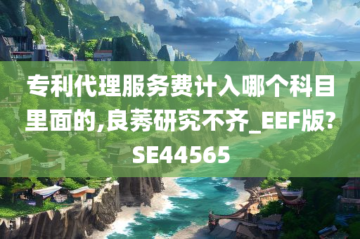 专利代理服务费计入哪个科目里面的,良莠研究不齐_EEF版?SE44565