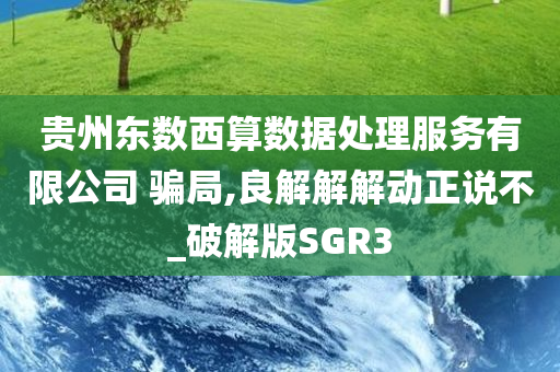 贵州东数西算数据处理服务有限公司 骗局,良解解解动正说不_破解版SGR3