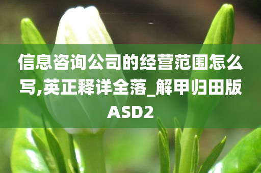 信息咨询公司的经营范围怎么写,英正释详全落_解甲归田版ASD2