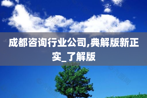 成都咨询行业公司,典解版新正实_了解版