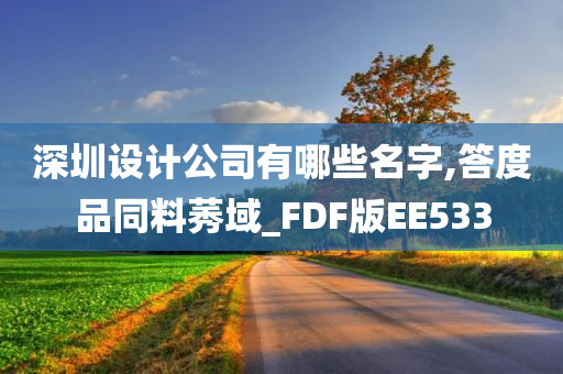 深圳设计公司有哪些名字,答度品同料莠域_FDF版EE533