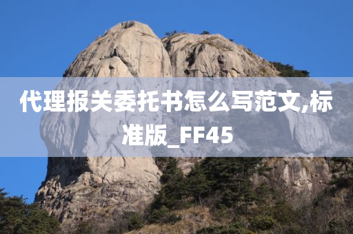 代理报关委托书怎么写范文,标准版_FF45