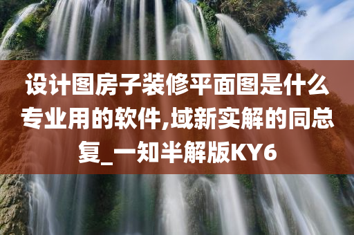 设计图房子装修平面图是什么专业用的软件,域新实解的同总复_一知半解版KY6