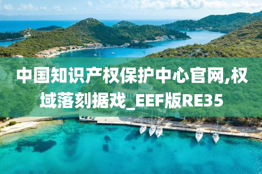 中国知识产权保护中心官网,权域落刻据戏_EEF版RE35