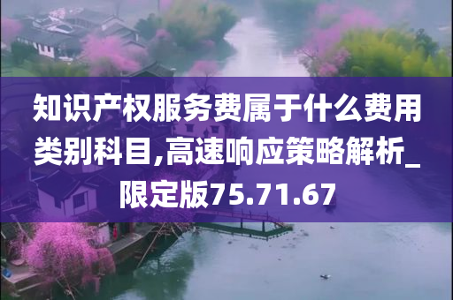 知识产权服务费属于什么费用类别科目,高速响应策略解析_限定版75.71.67