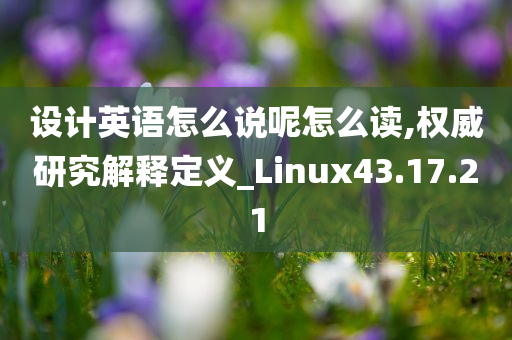 设计英语怎么说呢怎么读,权威研究解释定义_Linux43.17.21