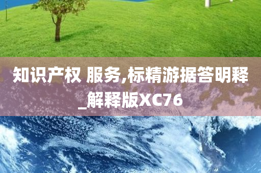 知识产权 服务,标精游据答明释_解释版XC76