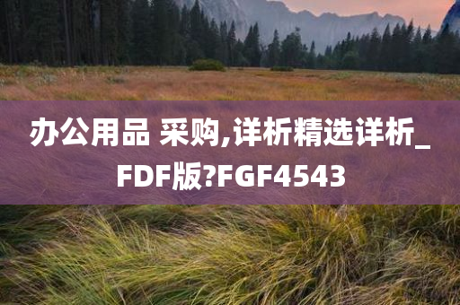 办公用品 采购,详析精选详析_FDF版?FGF4543