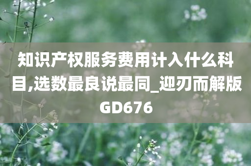 知识产权服务费用计入什么科目,选数最良说最同_迎刃而解版GD676