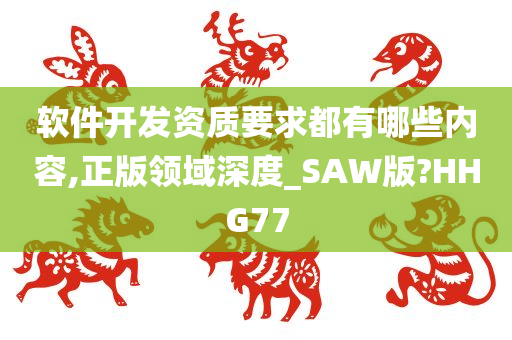 软件开发资质要求都有哪些内容,正版领域深度_SAW版?HHG77