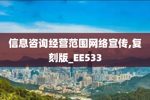 信息咨询经营范围网络宣传,复刻版_EE533