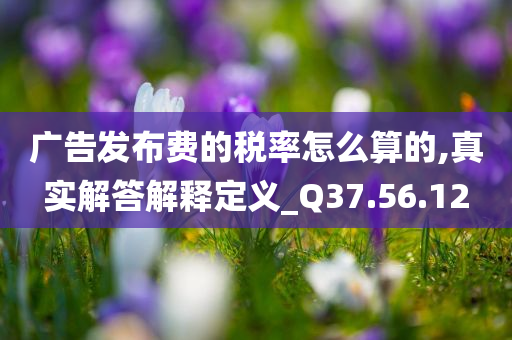 广告发布费的税率怎么算的,真实解答解释定义_Q37.56.12