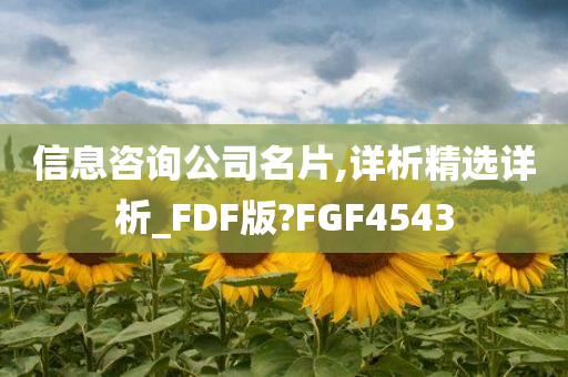 信息咨询公司名片,详析精选详析_FDF版?FGF4543