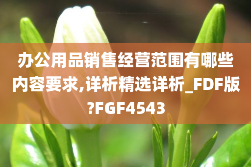 办公用品销售经营范围有哪些内容要求,详析精选详析_FDF版?FGF4543