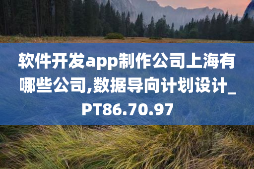 软件开发app制作公司上海有哪些公司,数据导向计划设计_PT86.70.97