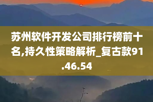 苏州软件开发公司排行榜前十名,持久性策略解析_复古款91.46.54