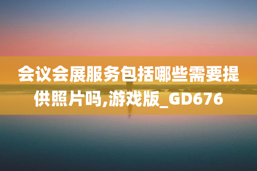 会议会展服务包括哪些需要提供照片吗,游戏版_GD676