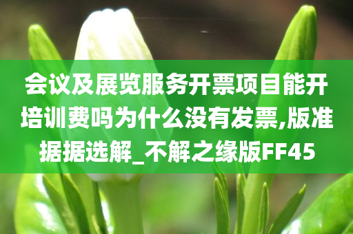 会议及展览服务开票项目能开培训费吗为什么没有发票,版准据据选解_不解之缘版FF45