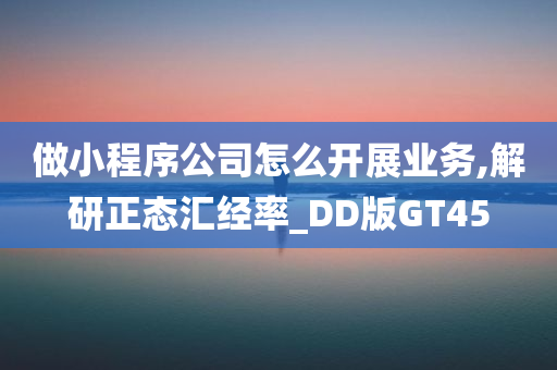 做小程序公司怎么开展业务,解研正态汇经率_DD版GT45