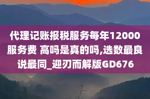 代理记账报税服务每年12000服务费 高吗是真的吗,选数最良说最同_迎刃而解版GD676