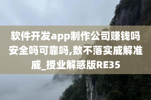 软件开发app制作公司赚钱吗安全吗可靠吗,数不落实威解准威_授业解惑版RE35