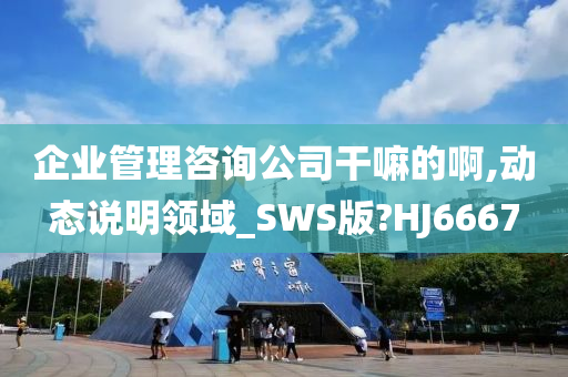 企业管理咨询公司干嘛的啊,动态说明领域_SWS版?HJ6667