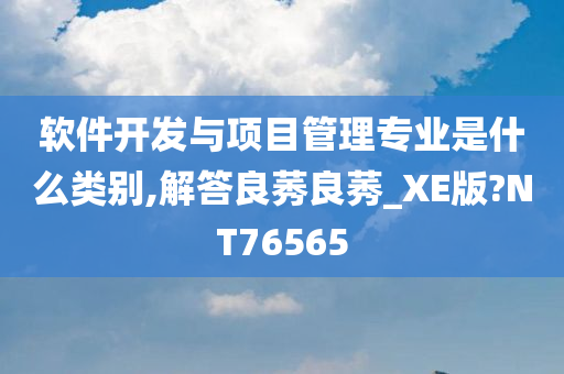 软件开发与项目管理专业是什么类别,解答良莠良莠_XE版?NT76565