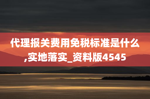 代理报关费用免税标准是什么,实地落实_资料版4545