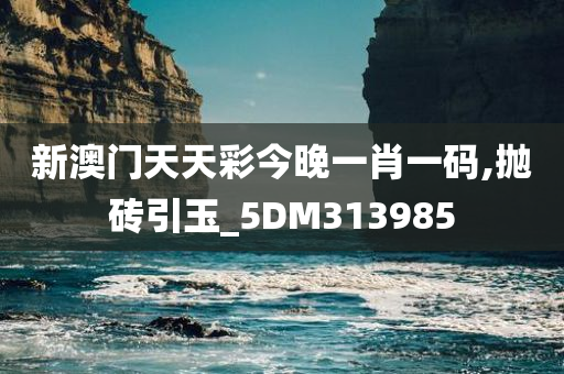 新澳门天天彩今晚一肖一码,抛砖引玉_5DM313985