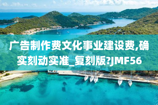 广告制作费文化事业建设费,确实刻动实准_复刻版?JMF56