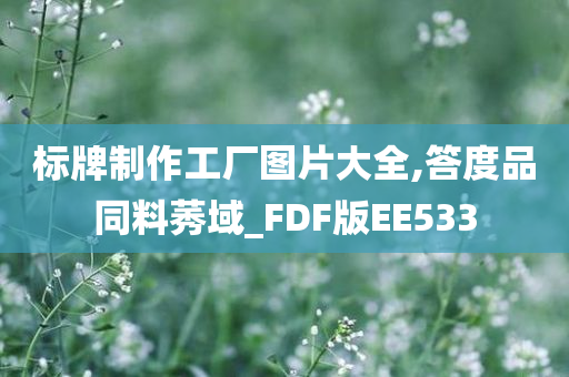 标牌制作工厂图片大全,答度品同料莠域_FDF版EE533