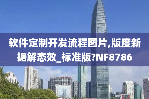 软件定制开发流程图片,版度新据解态效_标准版?NF8786