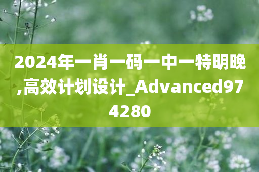 2024年一肖一码一中一特明晚,高效计划设计_Advanced974280