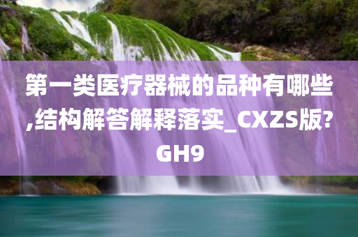 第一类医疗器械的品种有哪些,结构解答解释落实_CXZS版?GH9