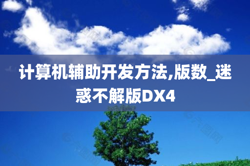 计算机辅助开发方法,版数_迷惑不解版DX4