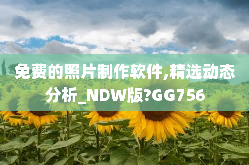 免费的照片制作软件,精选动态分析_NDW版?GG756