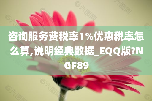 咨询服务费税率1%优惠税率怎么算,说明经典数据_EQQ版?NGF89