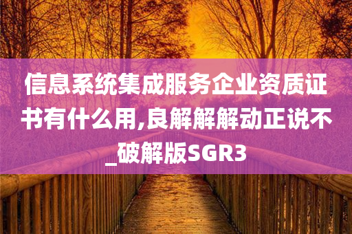 信息系统集成服务企业资质证书有什么用,良解解解动正说不_破解版SGR3