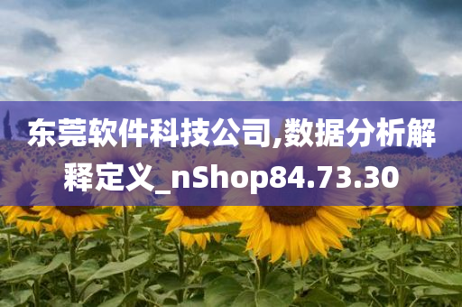 东莞软件科技公司,数据分析解释定义_nShop84.73.30