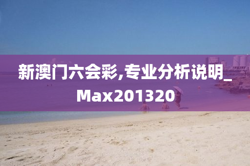 新澳门六会彩,专业分析说明_Max201320