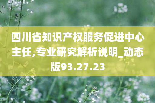 四川省知识产权服务促进中心主任,专业研究解析说明_动态版93.27.23